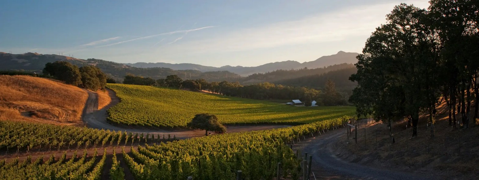 roth estate hero about estate