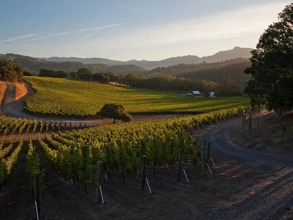 roth estate panel about founding story